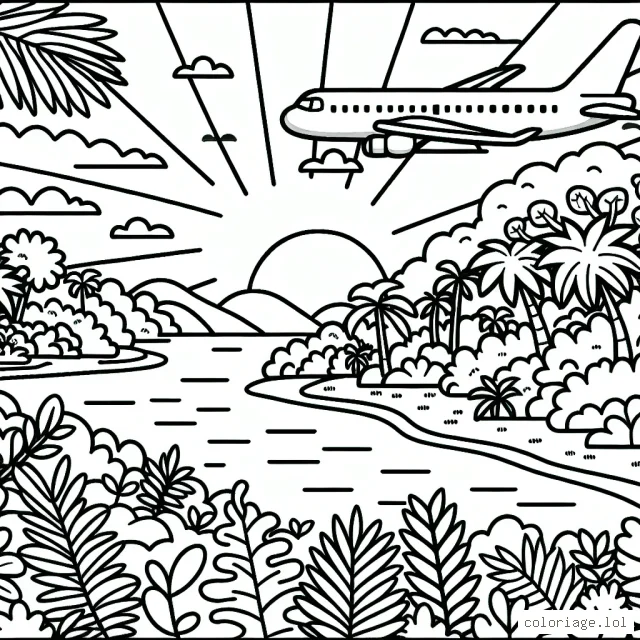 Un avion survolant la jungle dense et diversifiée avec le soleil couchant à l'horizon.