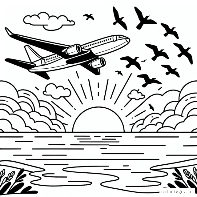 Dessine un avion à réaction qui survole l'océan, avec des oiseaux migrateurs à ses côtés et un magnifique coucher de soleil en toile de fond.