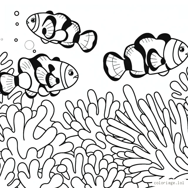 Une famille de poissons clown se baladant librement parmi les coraux colorés du fond marin.